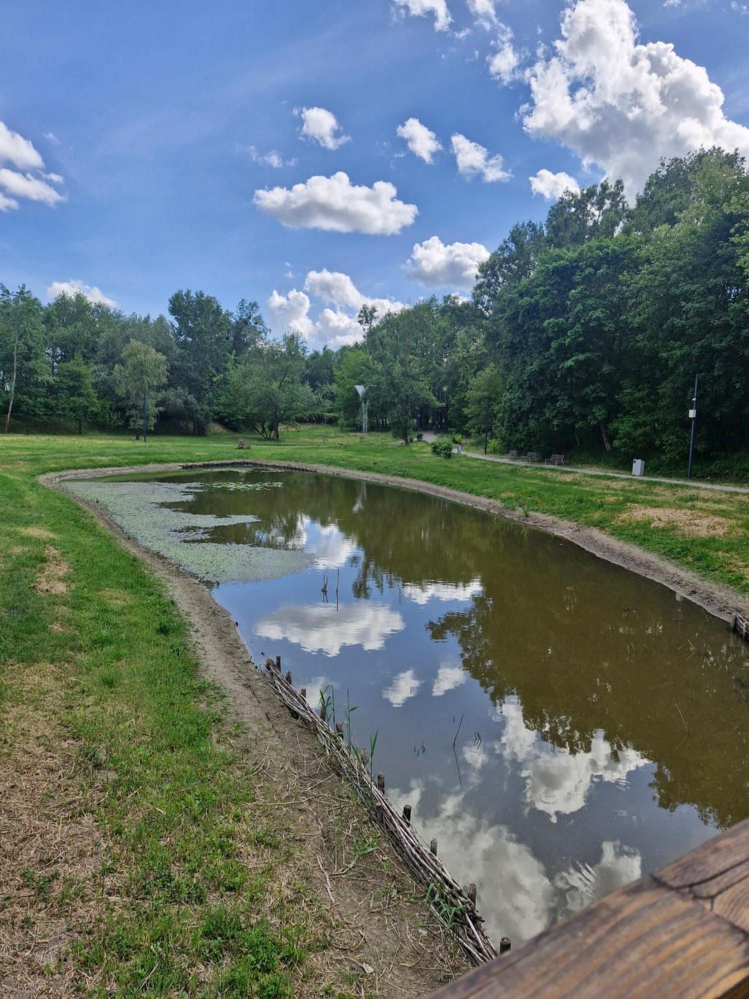 Apartament Cichy I Wygodny Stalowa Wola Bagian luar foto